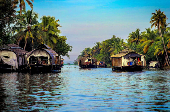 A Love Letter to Kerala