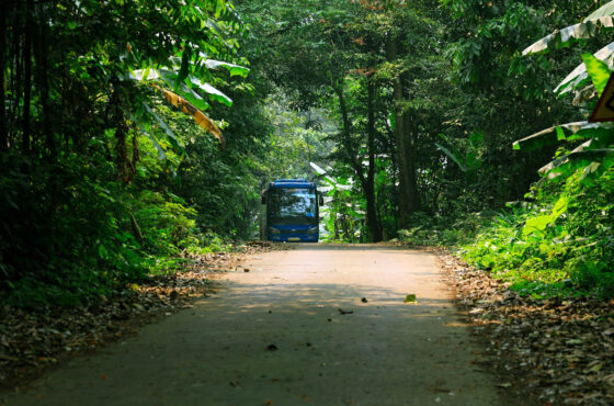 Malabar’s Untamed Wild Heart
