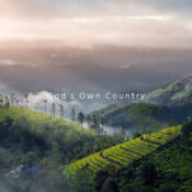 God's Own Country