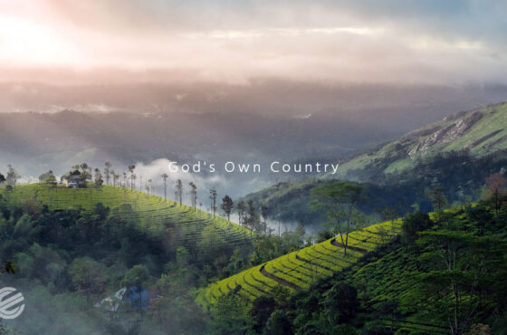 Discover Kerala with Ebenezer Holiday Pvt. Ltd. – Your trusted Travel Partner since 1998