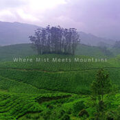 Munnar