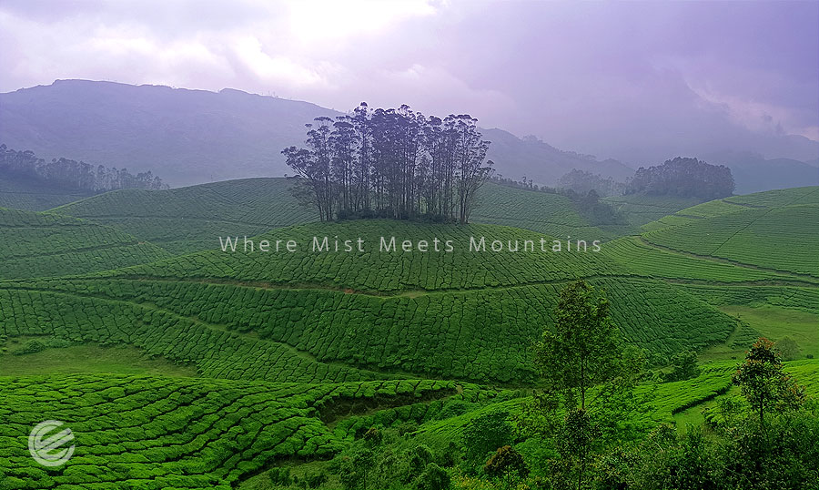 Munnar
