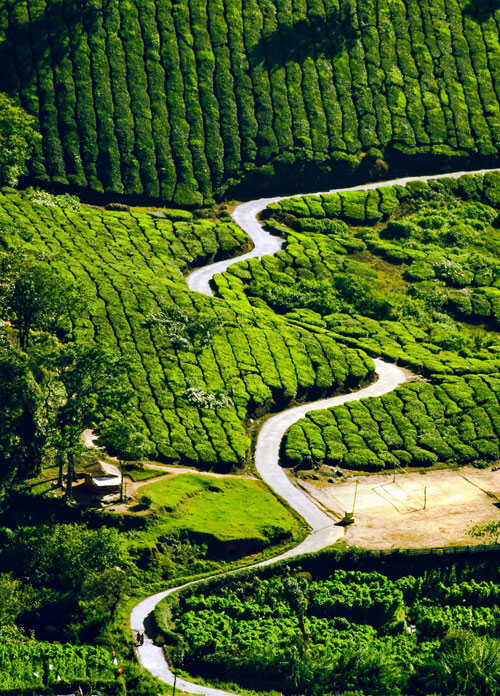 Munnar