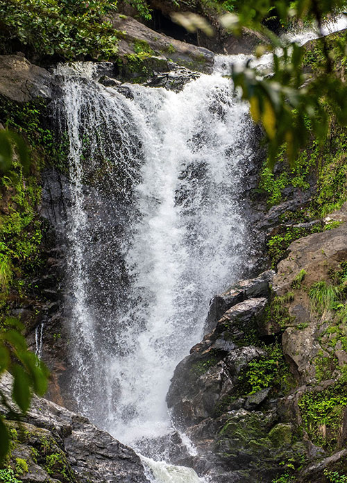 Wayanad