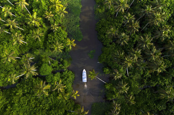 The Malabar Romance: A Two-Week Reverie