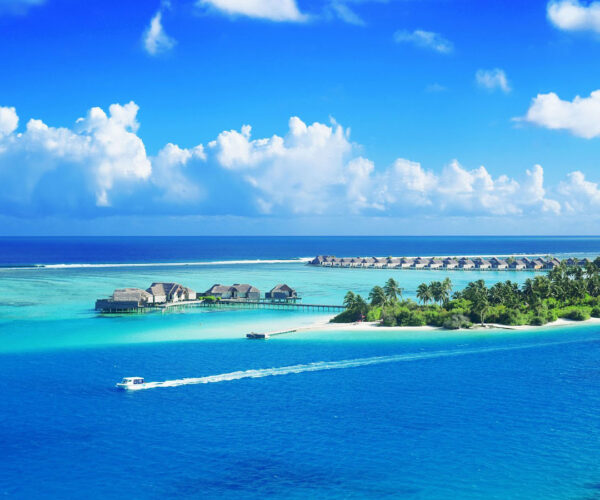 An Ocean of Boundless Bliss