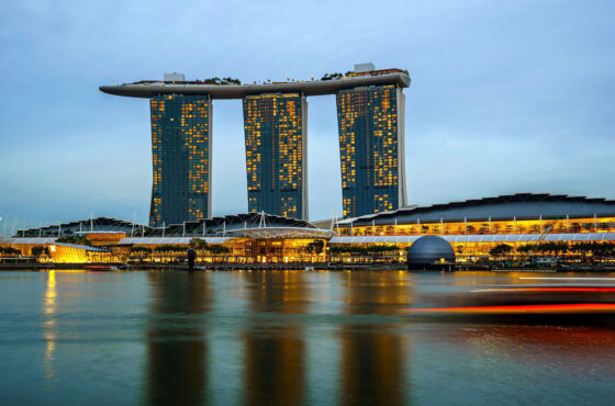 The Lion City Wonderland